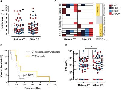 In pancreatic cancer patients, chemotherapy reshapes the gene expression profile and antigen receptor repertoire of T lymphocytes and enhances their effector response to tumor-associated antigens